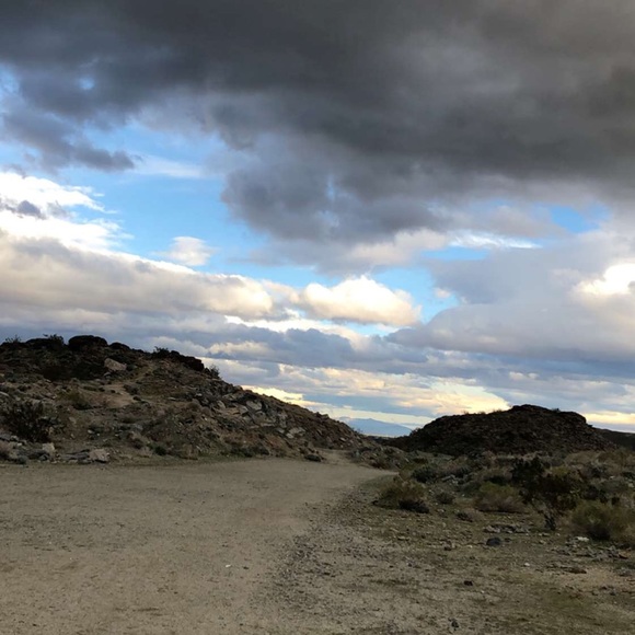 Meet your Posh Ambassador Rose - Picture 1 of 1